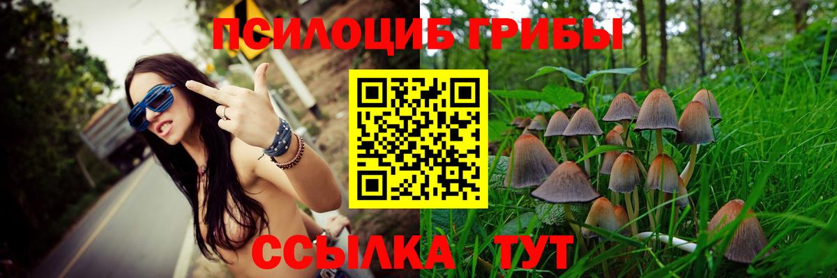 Балтийск  Галлюциногенные грибы MAGIC MUSHROOMS  Галлюциногенные грибы мицелий  Вход с VPN 