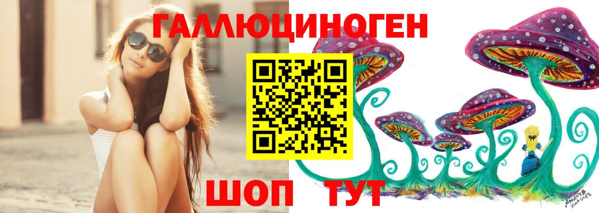 Галлюциногенные грибы мухоморы Балтийск